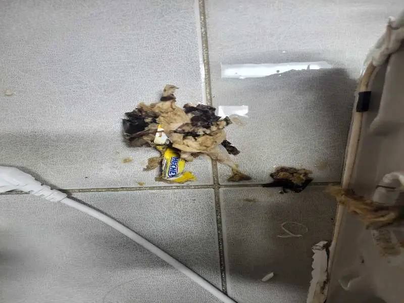 마포구 배관 이물질 제거 사례 5
